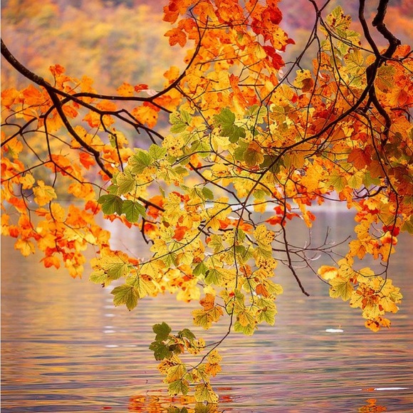 Happy Autumn into Winter!🌷 - Picture 4 of 16